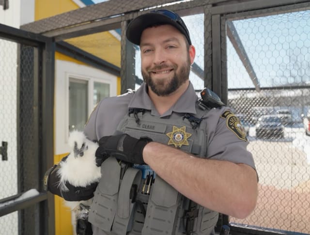 An Animal Control officer holds a white chicken