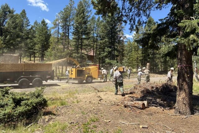 A crew in hard hats feeds branches into a yellow wood chipper beside a forest road as chips blow into a dump trailer