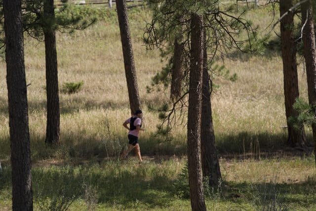 A trail runner passes between ponderosa trunks in a sunlit grassy meadow