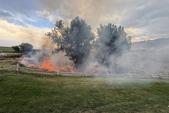 Flames burn through grass and brush along a split-rail fence near cottonwood trees under heavy gray smoke