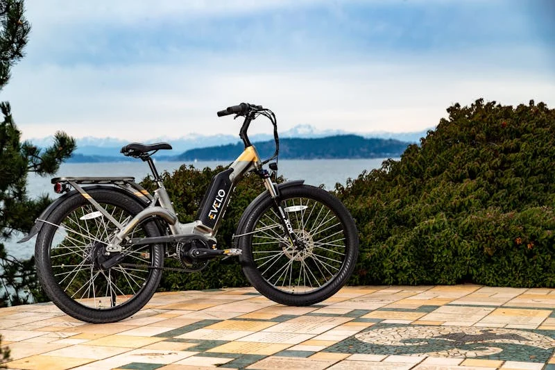 Class 2 e-bike with throttle and pedal assist