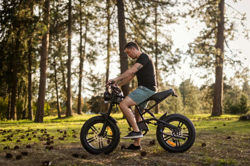 High-powered electric vehicle marketed as an e-bike