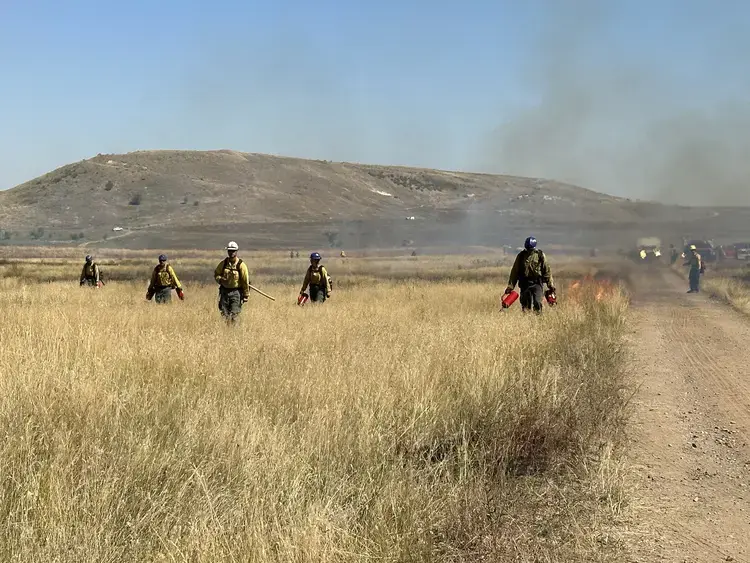 Firefighters conducting a prescribed burn across dry grassland with smoke rising
