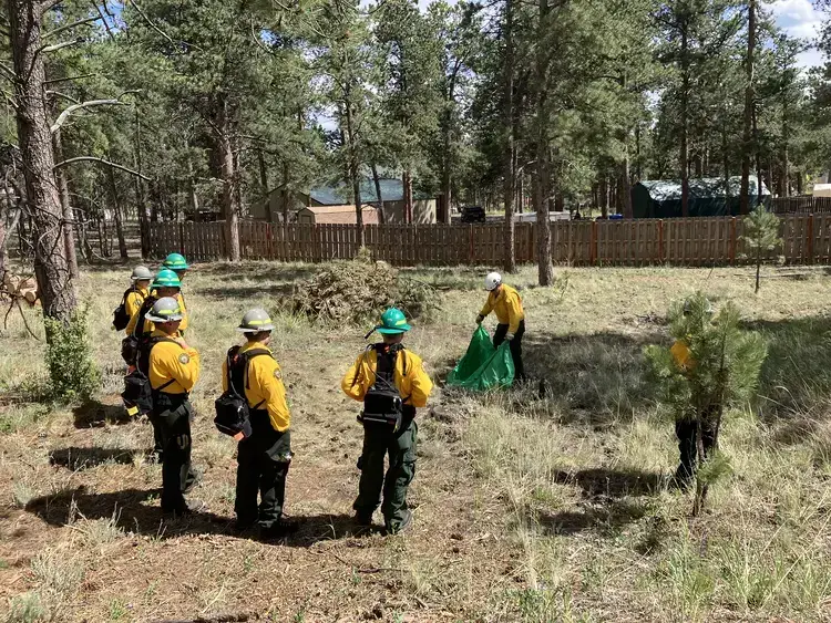 Wildfire mitigation crew clearing brush near a residential area in the foothills