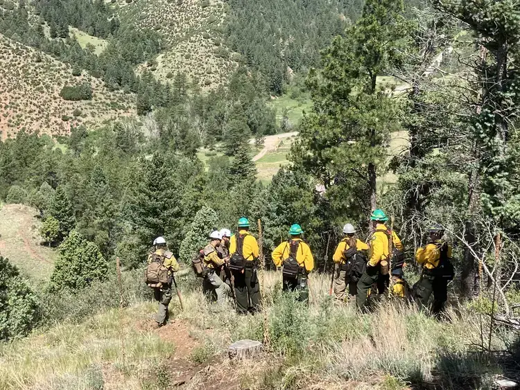 Wildfire crew gathered on a hillside trail overlooking a forested mountain valley
