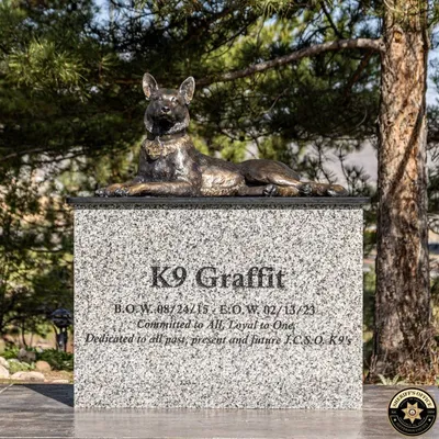 K9 Graffit, a German Shepherd, in his duty vest